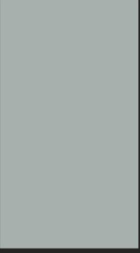 DUST GREY