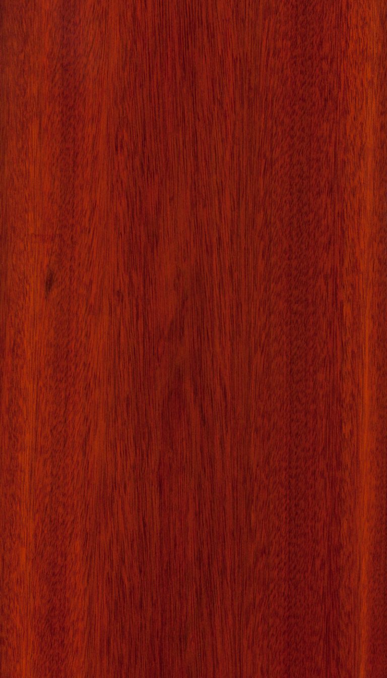 Bloodwood