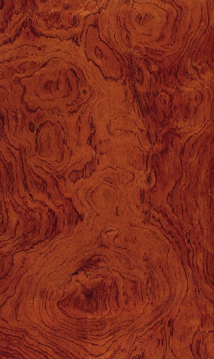 Bubinga