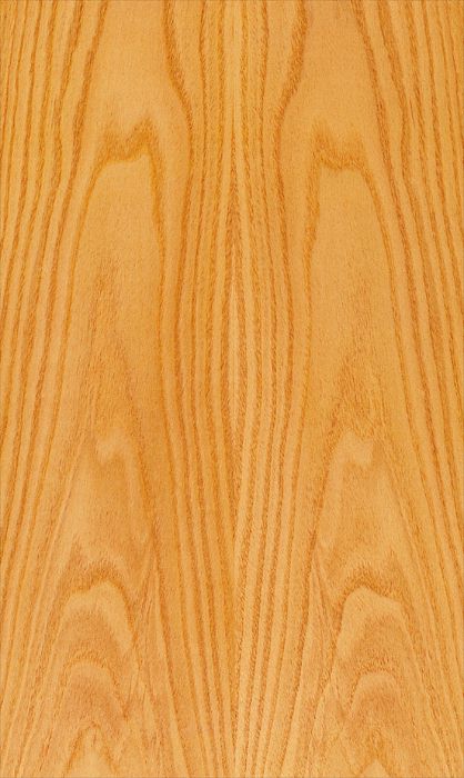Chestnut