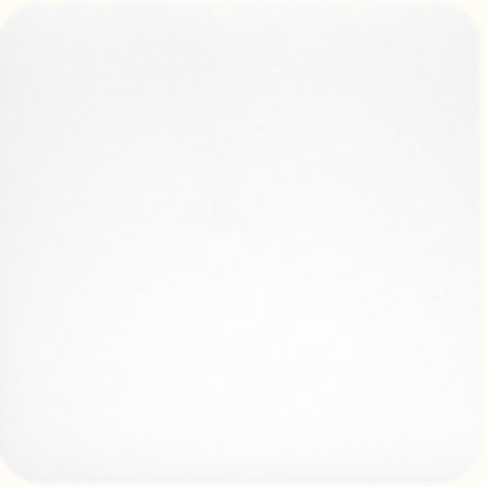 DS 210 White Ice