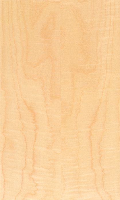 Figured Sycamore
