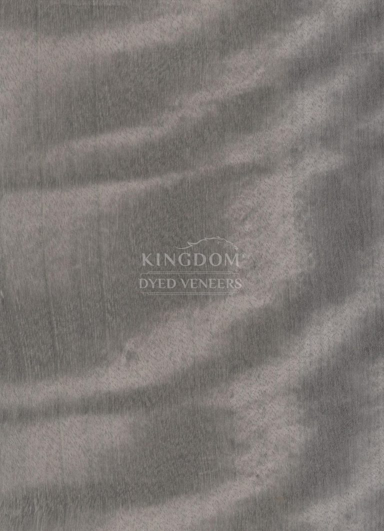 KDV 26.3.019