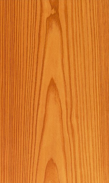 Larch
