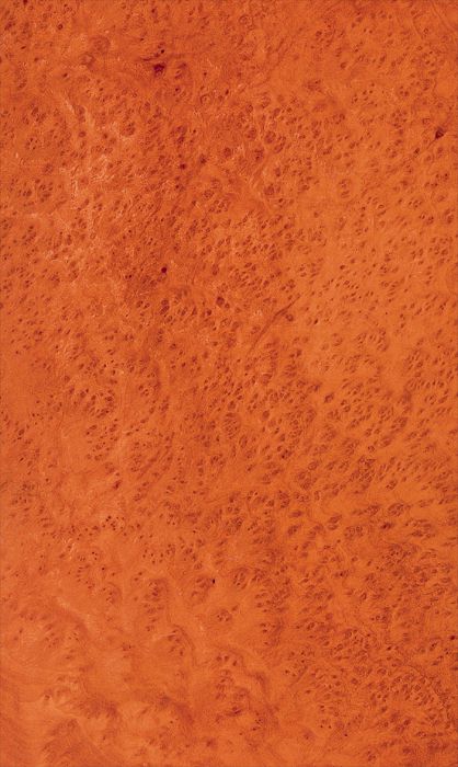 Madrone Burl