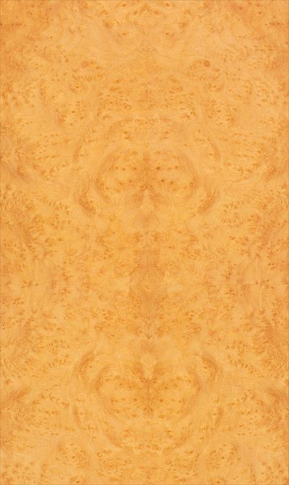 Myrtle Burl