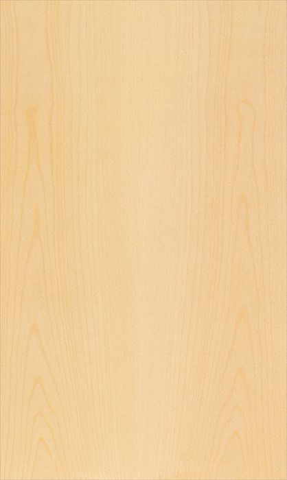 Plain Sycamore