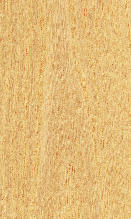 White Ash