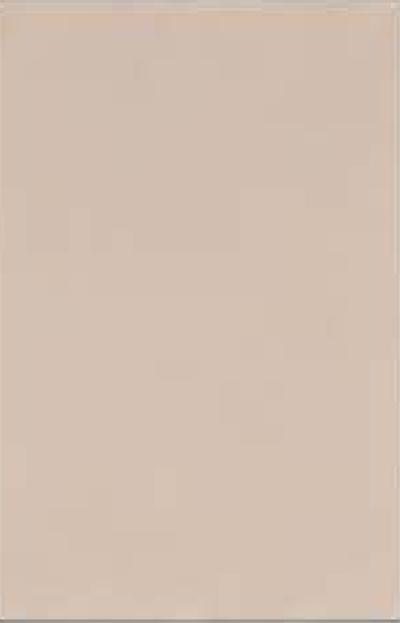 SC 1008 HAZE