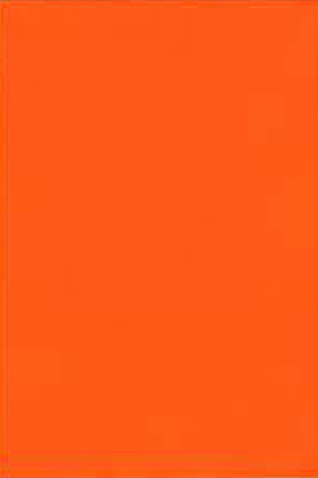 SC 1021 CITRUS ORANGE