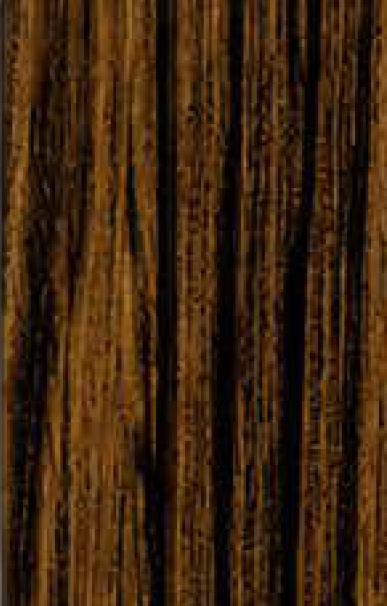 SC 2004 ARAKAN WOOD