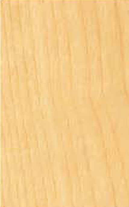 SC 2012 HARD ROCK MAPLE