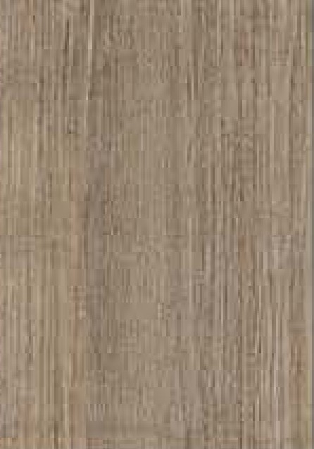 SC 2019 OLD ROMAN OAK