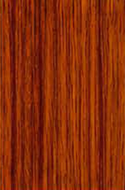SC 2024 THAI TEAK